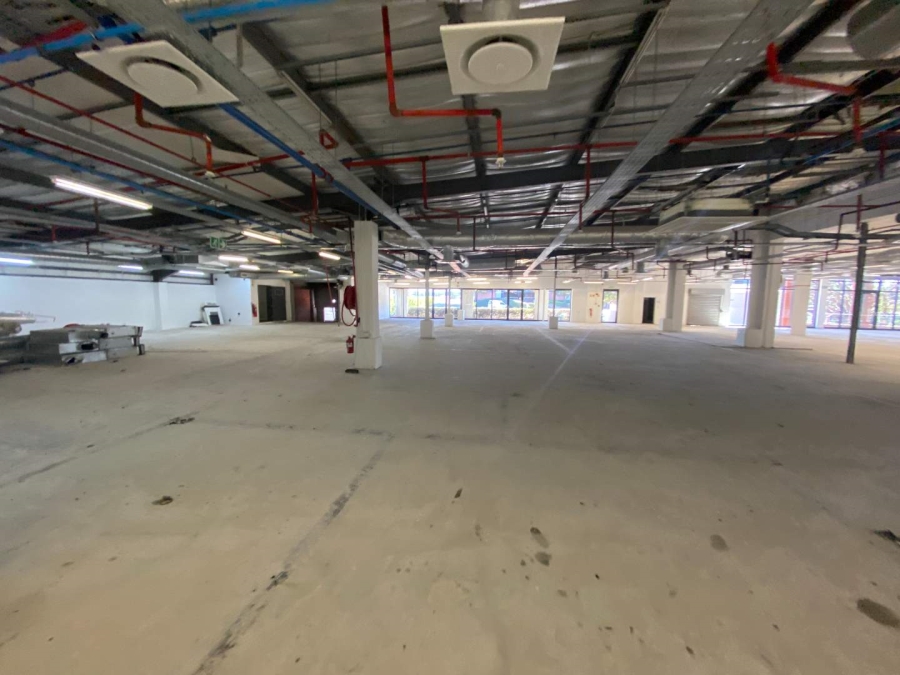 To Let commercial Property for Rent in Observatory Western Cape